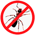controle-de-formigas