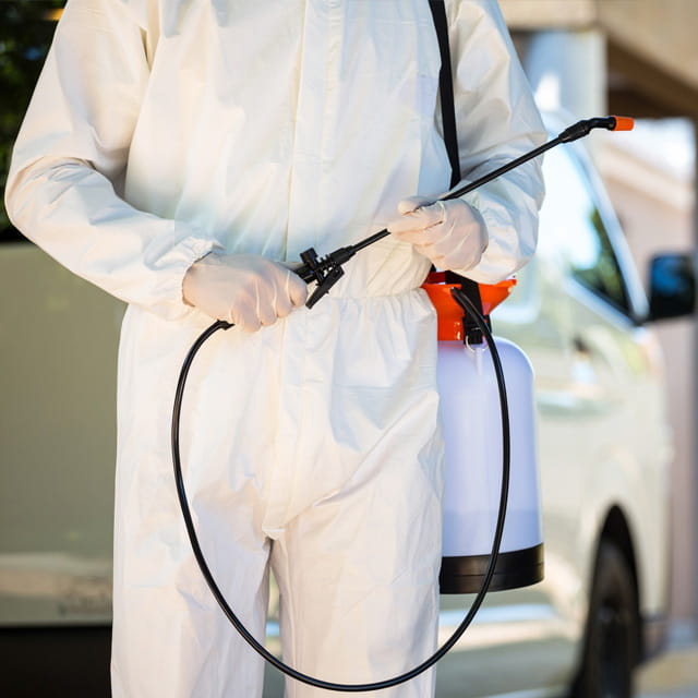 controle-de-pragas-sao-paulo