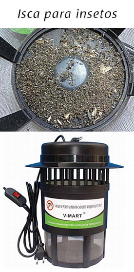 servicos-de-dedetizacao-em-sp